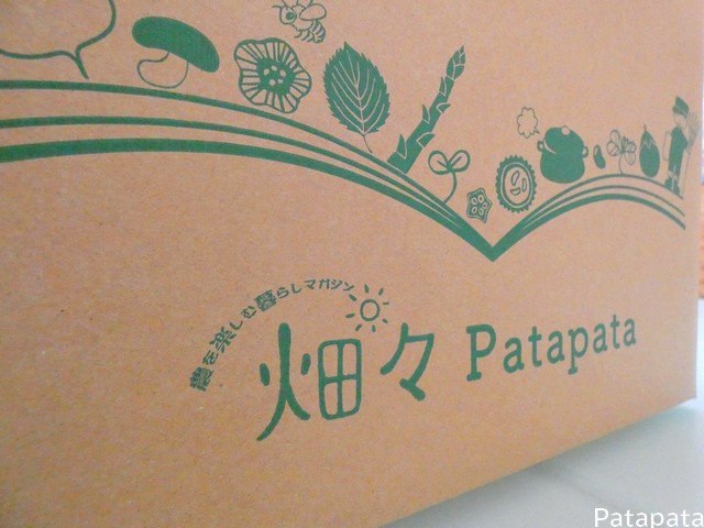 畑々Patapata