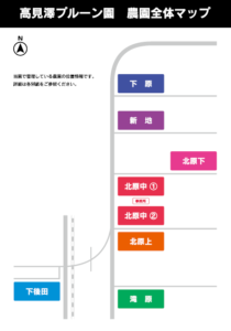 高見澤プルーン園全体マップ